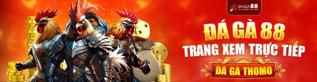 Sân đấu đá gà trực tuyến sôi động tại 789b3